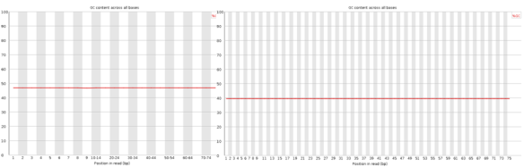 fastQC_GCcontent
