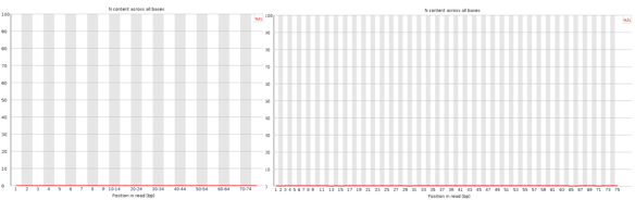fastqc_perbaseN