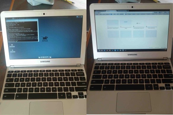 Identity crisis, Linux and ChromeOS side by side!