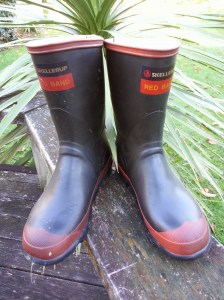 They make bloody good gum boots (multi-purpose - inside joke (-; )